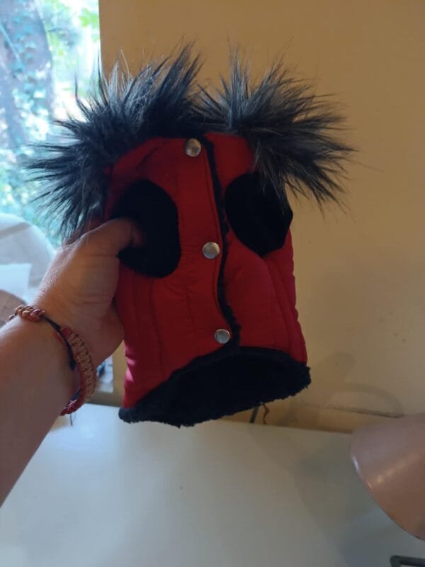 9ba2d875-3600-4d60-a4c4-a52afd8be80f Красиво яке с яка от еко косъм