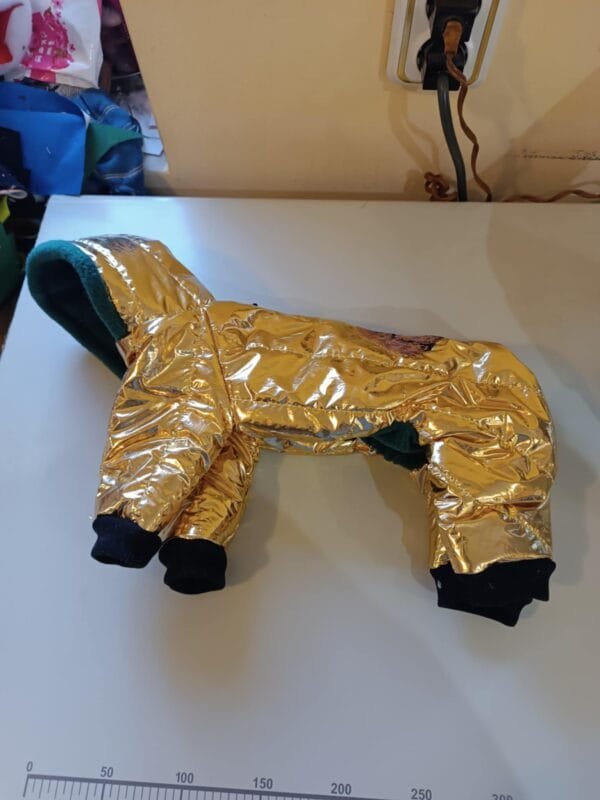 Зимен гащеризон