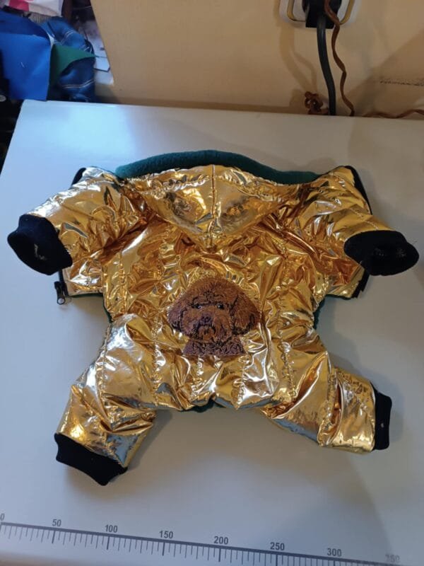 Зимен гащеризон