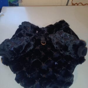 Палтенце пролет -есен