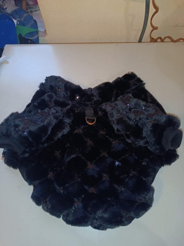 Палтенце пролет -есен