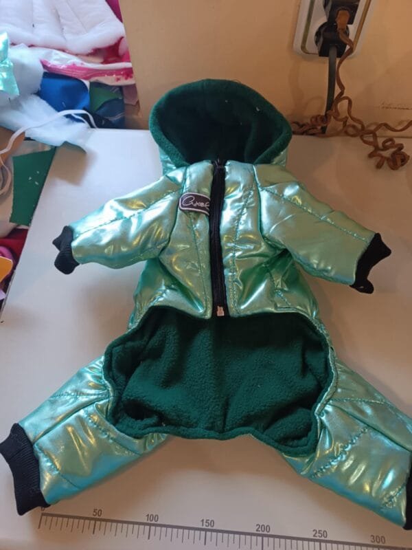 Зимен гащеризон