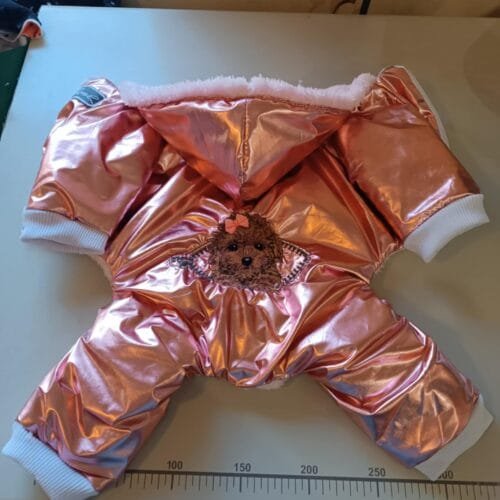 Зимен гащеризон с пудел