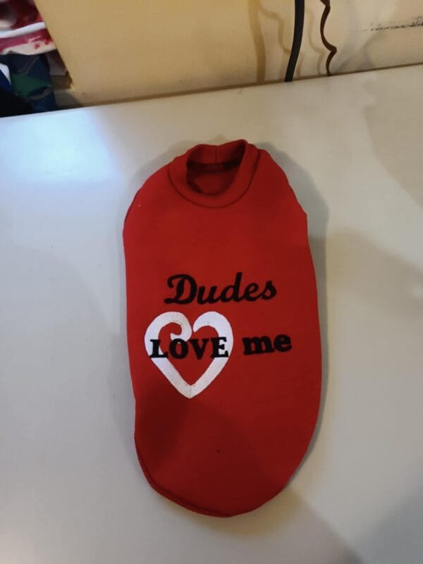 Зимна блузка с машинна бродерия