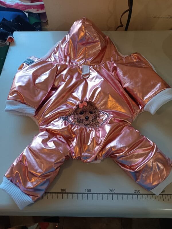 Зимен гащеризон с пудел