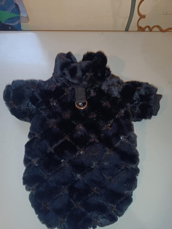 Палтенце пролет -есен