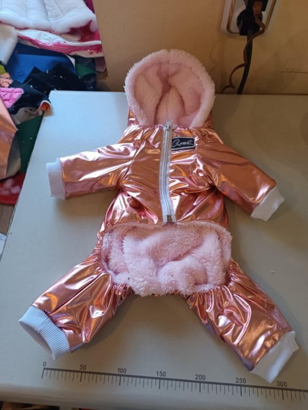 Зимен гащеризон с пудел