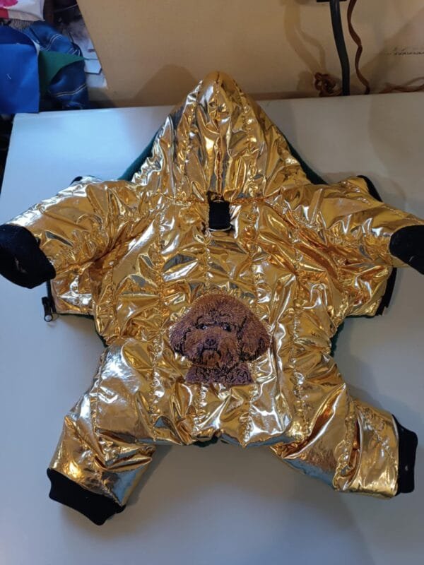 Зимен гащеризон