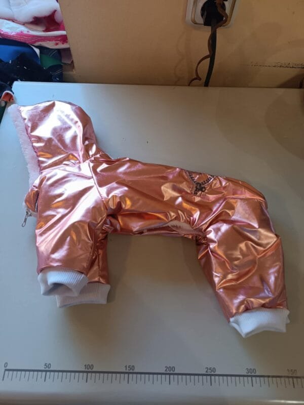 Зимен гащеризон с пудел