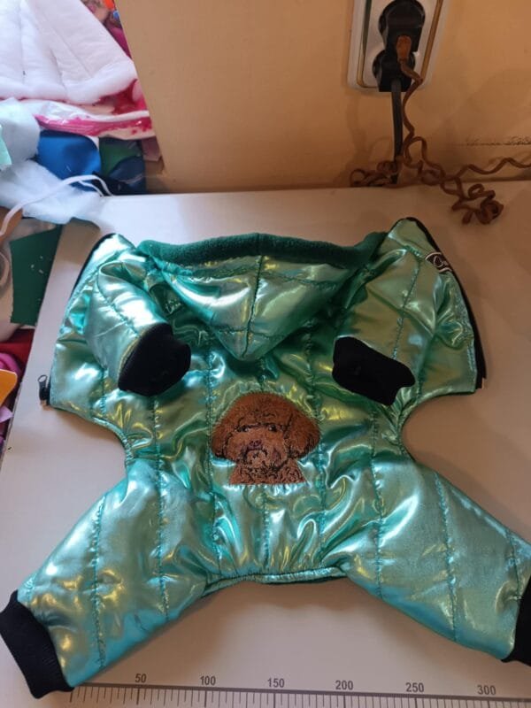 Зимен гащеризон