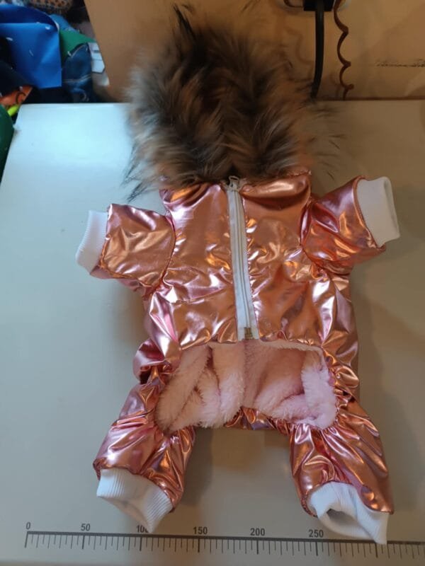 Гащеризон с йорки