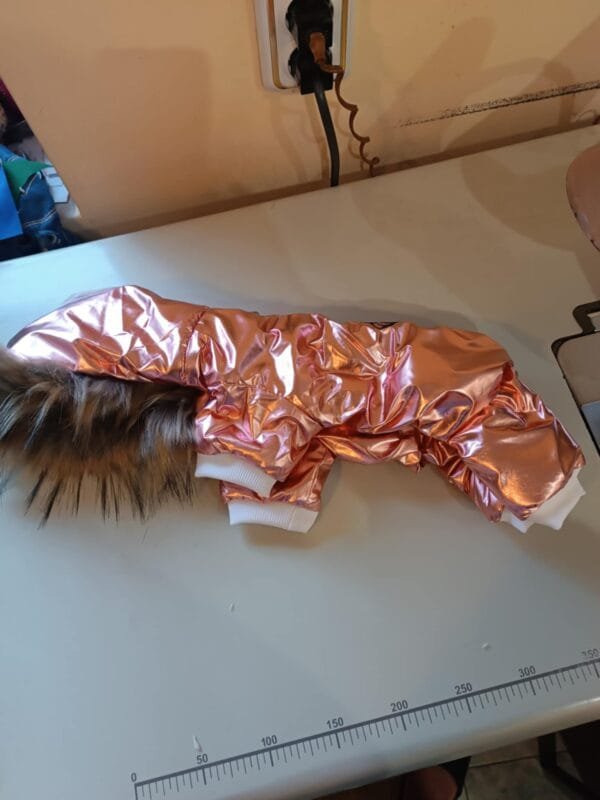 Гащеризон с йорки