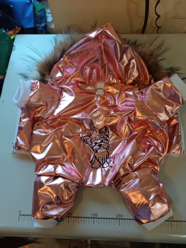 Гащеризон с йорки