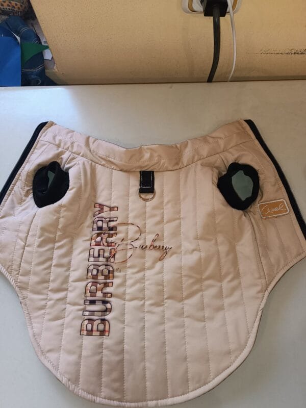 Яке пролет есен от шушляков плат