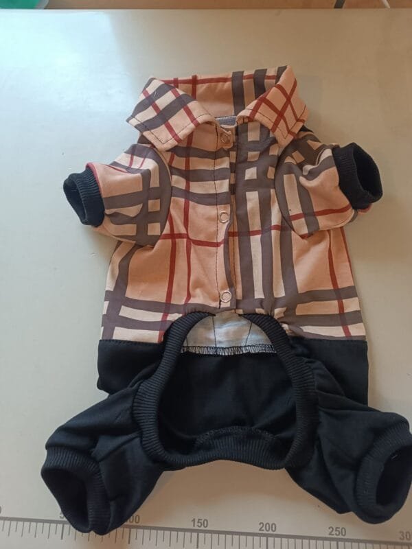 Гащеризон с папионка