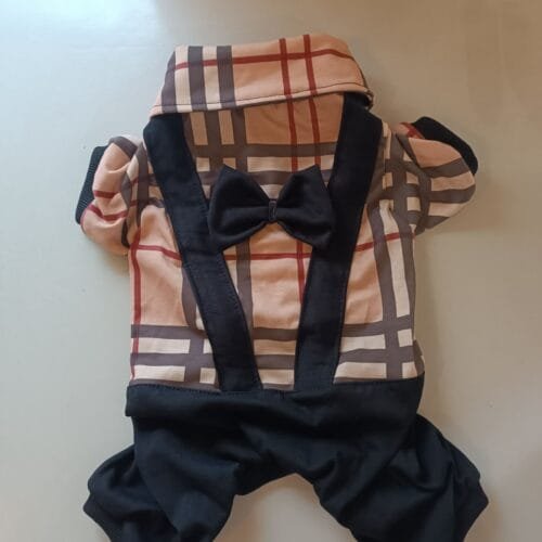 Гащеризон с папионка