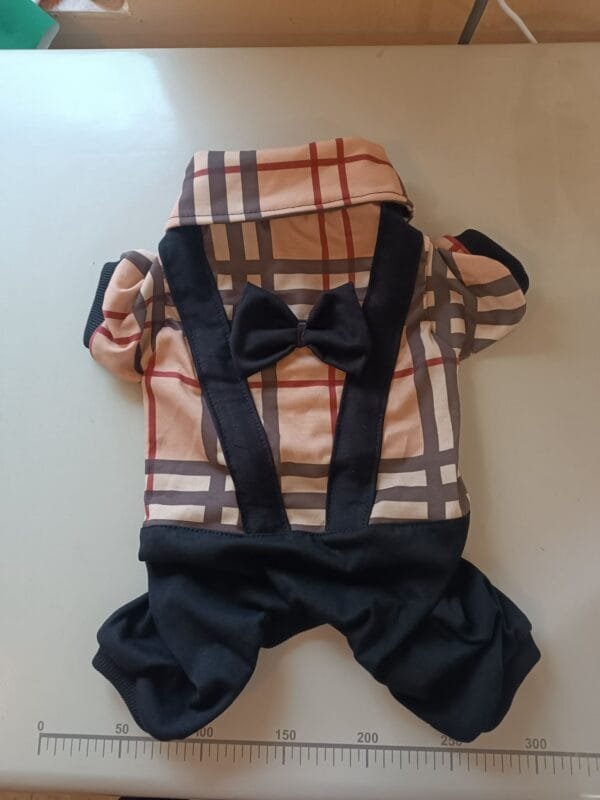 Гащеризон с папионка